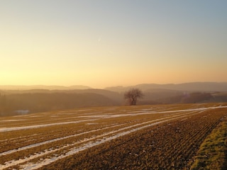 Ferienhaus Kleinich Umgebung 18