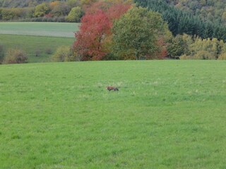 Casa de vacaciones Kleinich Entorno 21