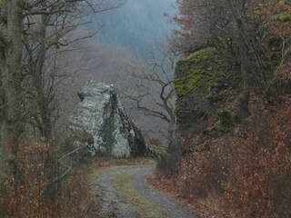 Ferienhaus Kleinich Umgebung 37