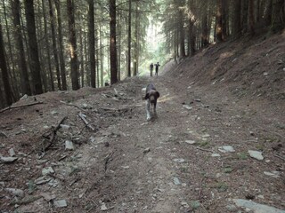 Ferienhaus Kleinich Umgebung 14