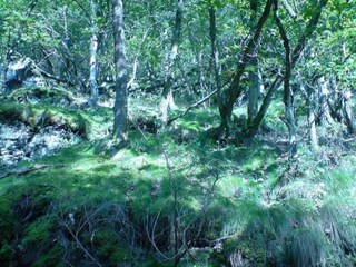 Holiday house Kleinich Environment 28