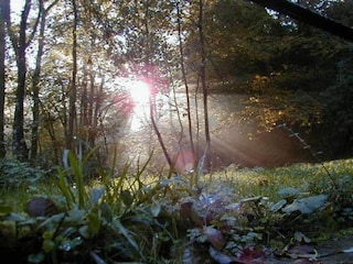 Ferienhaus Kleinich Umgebung 31