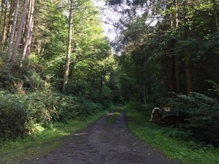 Ferienhaus Kleinich Umgebung 35