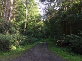 Vakantiehuis Kleinich Omgeving 31