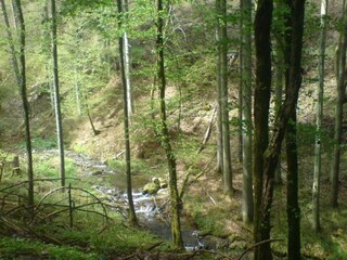Casa per le vacanze Kleinich Ambiente 39