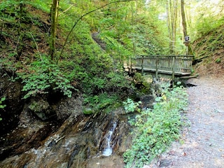 Apartment Winterberg Umgebung 36