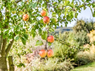 Apartment Willingen  39
