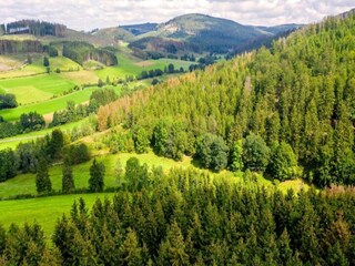 Apartment Willingen Umgebung 36