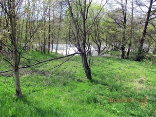 Vakantiehuis Viechtach Omgeving 19