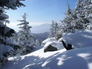 Vakantiehuis Viechtach Omgeving 33