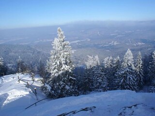 Vakantiehuis Viechtach Omgeving 27