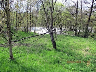 Ferienhaus Viechtach Umgebung 30