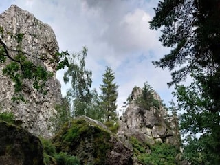 Ferienhaus Viechtach Umgebung 24