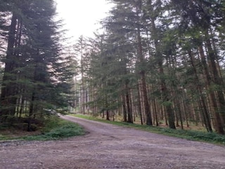 Vakantiehuis Viechtach Omgeving 31