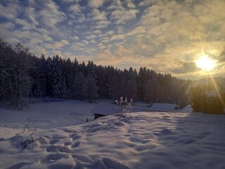 Casa per le vacanze Viechtach Ambiente 35