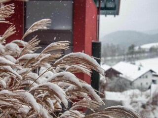 Maison de vacances Viechtach Enregistrement extérieur 4