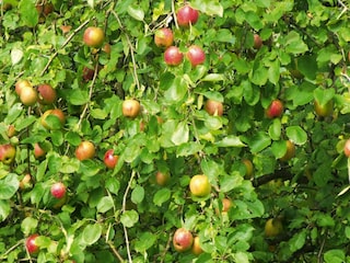 Casa de vacaciones Wieda  42