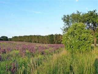 Ferienhaus Wieda Umgebung 32