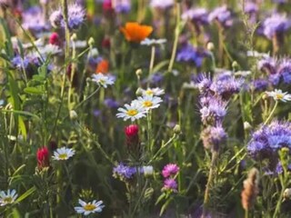 Casa per le vacanze Wieda Ambiente 27