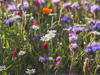 Ferienhaus Wieda Umgebung 32