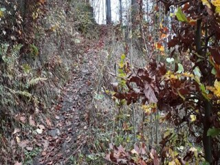 Vakantiehuis Wieda Omgeving 21