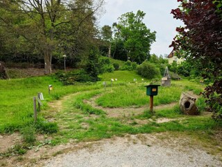 Vakantiehuis Wieda Omgeving 39