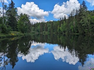 Casa per le vacanze Wieda Ambiente 41