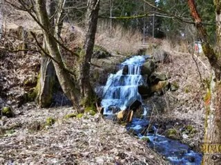 Maison de vacances Wieda Environnement 36