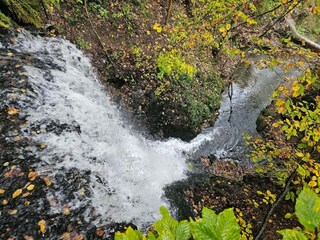 Casa per le vacanze Wieda Ambiente 36