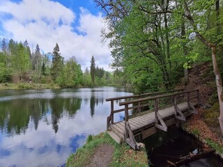 Vakantiehuis Wieda Omgeving 31