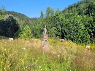 Casa per le vacanze Wieda Ambiente 38