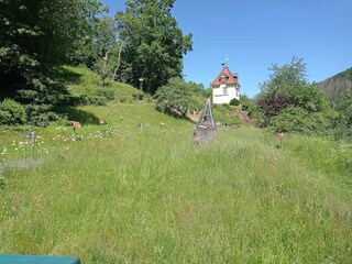 Ferienhaus Wieda Umgebung 34