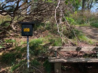 Ferienhaus Wieda Umgebung 25