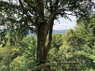 Ferienhaus Wieda Umgebung 18