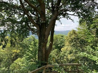 Ferienhaus Wieda Umgebung 25