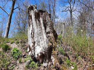 Casa de vacaciones Wieda Entorno 22