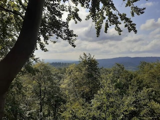 Ferienhaus Wieda Umgebung 31