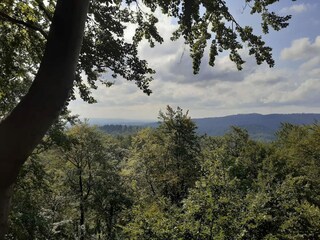 Maison de vacances Wieda Environnement 21