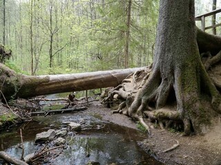Casa per le vacanze Wieda Ambiente 36