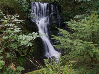 Ferienhaus Wieda Umgebung 35