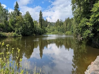 Ferienhaus Wieda Umgebung 38