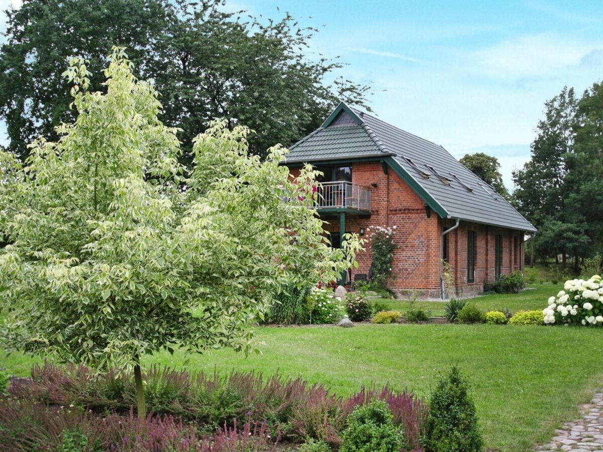 Ferienhaus Dümmer (Mecklenburg) Außenaufnahme 2