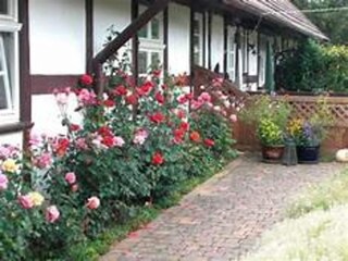 Ferienhaus Klocksin Umgebung 16