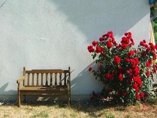 Apartment Klocksin Outdoor Recording 3