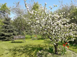 Appartement, Malchow - Malchow - image1