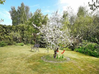 Apartment Malchow Outdoor Recording 4