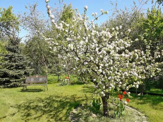 Appartement Malchow Buitenaudio-opname 4