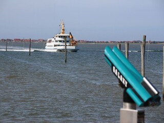 Maison de vacances Neßmersiel Environnement 23