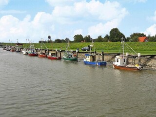 Appartamento Friedrichskoog  28