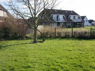 Appartement Friedrichskoog Buitenaudio-opname 5